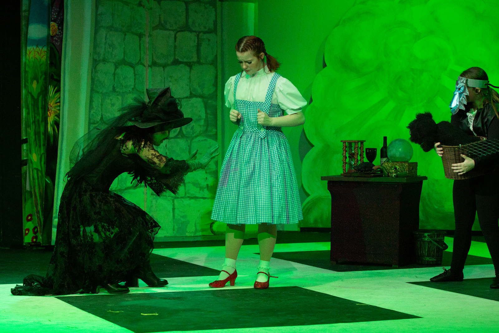 The Wizard of Oz 220